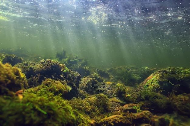 sun rays under water landscape, seascape fresh water river diving