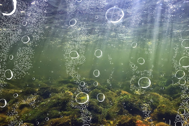 sun rays under water landscape, seascape fresh water river diving