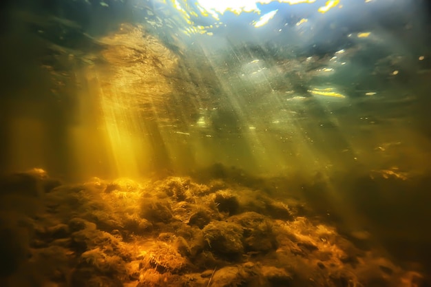 sun rays under water landscape, seascape fresh water river diving