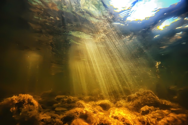 sun rays under water landscape, seascape fresh water river diving