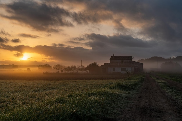 Sun rising over the clouds casting light on the countryside and the fog. Majorca, Spain