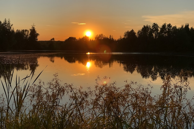 Sun sets behind the forest on the horizon reflecting in still water summer landscape Grass silhouette in the foreground