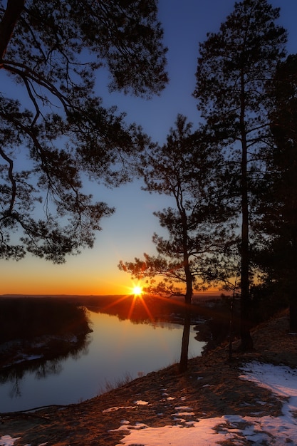 The sun shines through the branches of the trees at sunset. Landscape with a river and a forest.