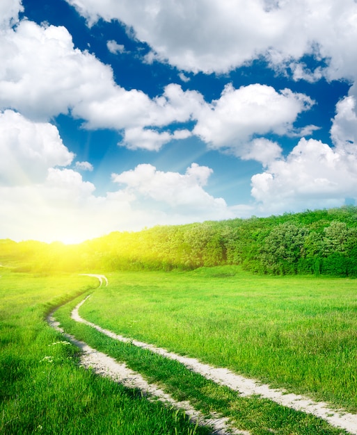 Sun shining on a lane in a green meadow