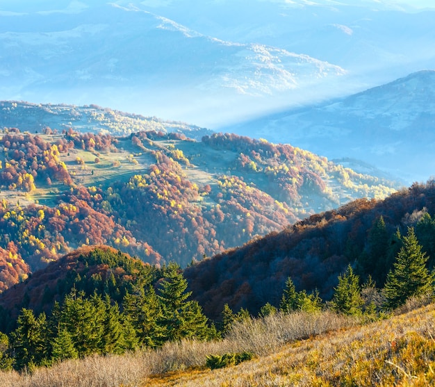 Sunbeam and autumn misty morning mountain view with colorful trees on slope.