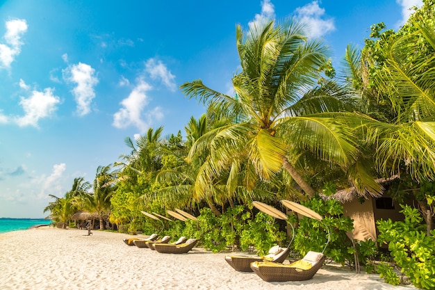 Sunbed on tropical beach in the Maldives