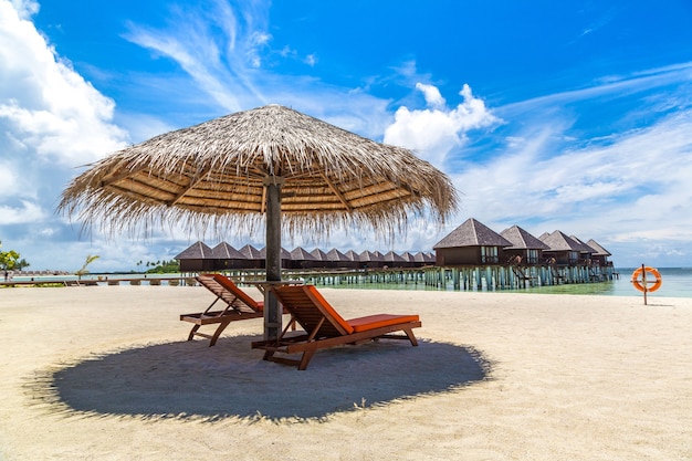 Sunbed and umbrella on tropical beach in the Maldives