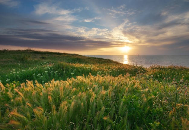 Sundown landscape composition Sky sea and green grass