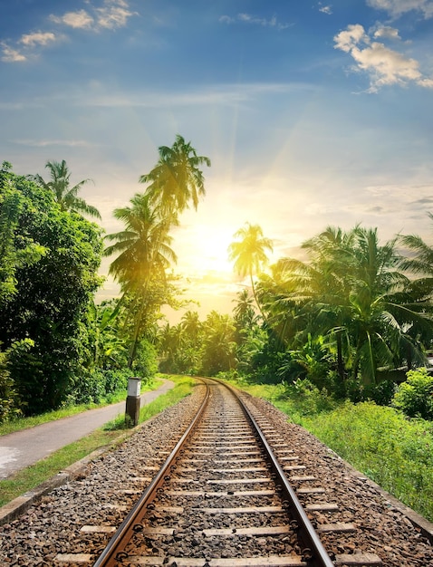 Sundown over railroad in jungle of Sri Lanka