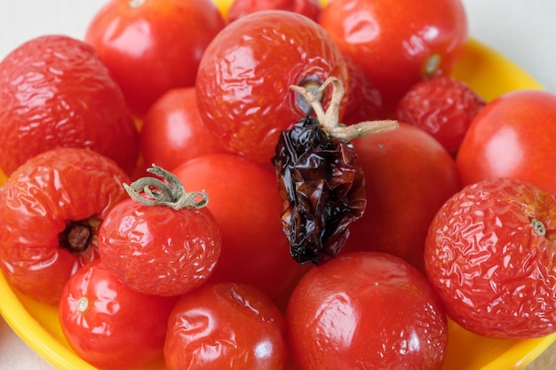 Sundried dried small ripe cherry tomatoes