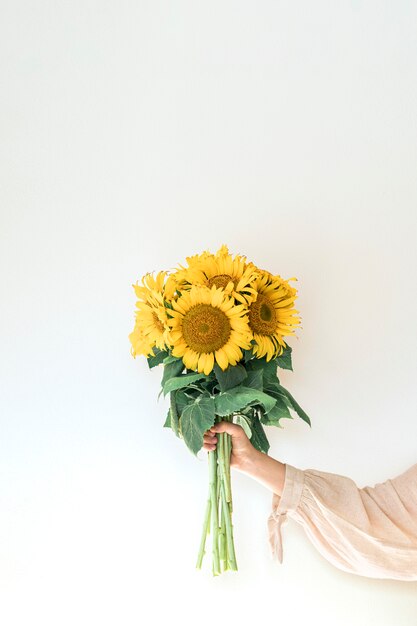 Sunflower bouquet in women's hand against white