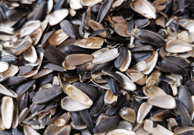 Sunflower empty seed shells A mountain of garbage from a sunflower