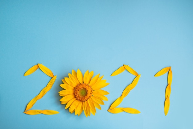 Sunflower petals in the form of numbers 2021 on a blue background. 2021 new year new reality. Summer it is time for traveling