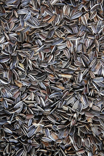 Sunflower seed pattern food background