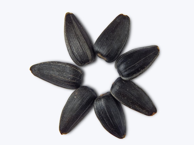 Sunflower seeds are laid out in the shape of a sun on a white background