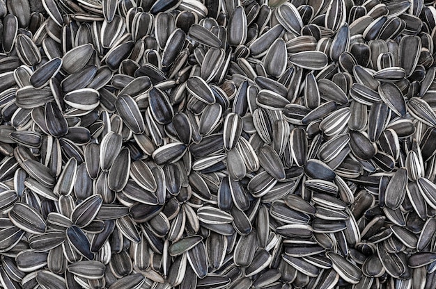 Sunflower seeds background Food background