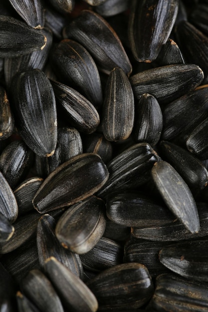 Sunflower seeds background