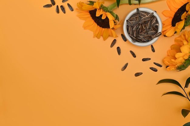 Sunflower seeds in blow on yellow background with space for your text Organic product and vegan food concept