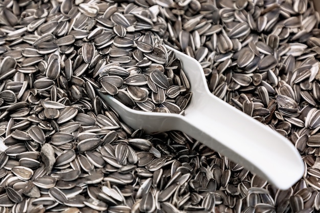 Sunflower seeds in a shell with a scoop on the counter in the supermarket