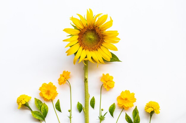 sunflowers  cosmos flowers arrangement postcard style