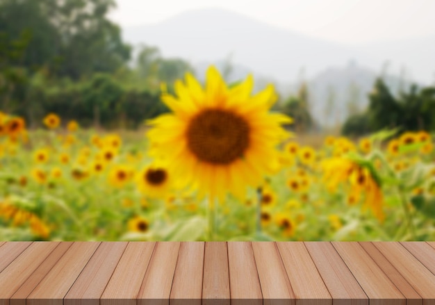 sunflowers on the field and wood table