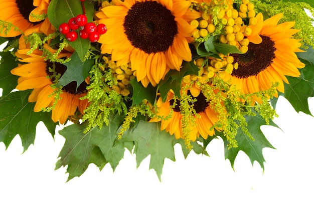 Sunflowers with green leaves