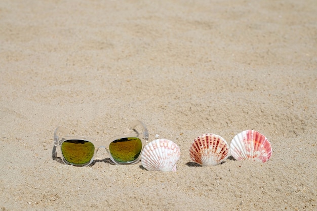 Sunglasses and seashell on beach sand background, summer holiday vacation background