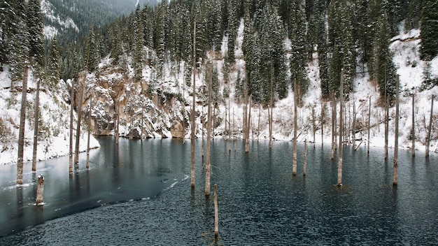 A sunken forest in a mountain lake. Water is like a mirror. Tree trunks come out of the water.