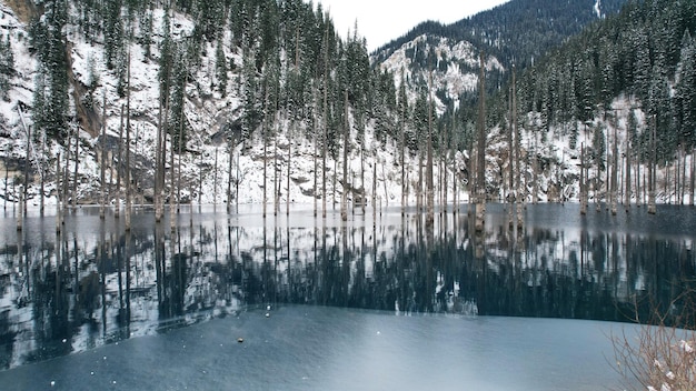 A sunken forest in a mountain lake. Water is like a mirror. Tree trunks come out of the water.