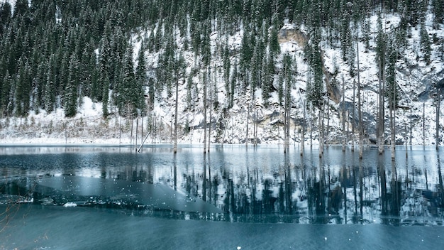 A sunken forest in a mountain lake. Water is like a mirror. Tree trunks come out of the water.