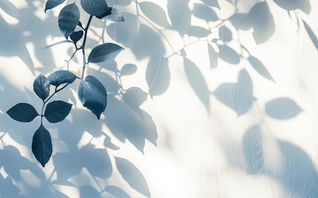 Photo sunlight filtering through lush green leaves on a bright summer day