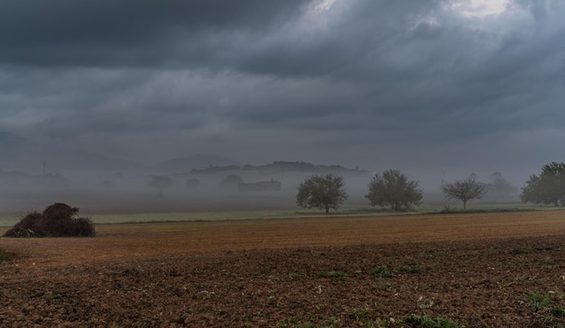 sunlight, scenic, natural, field, outdoor, sunrise, fog, foggy, countryside, majorca, early morning,