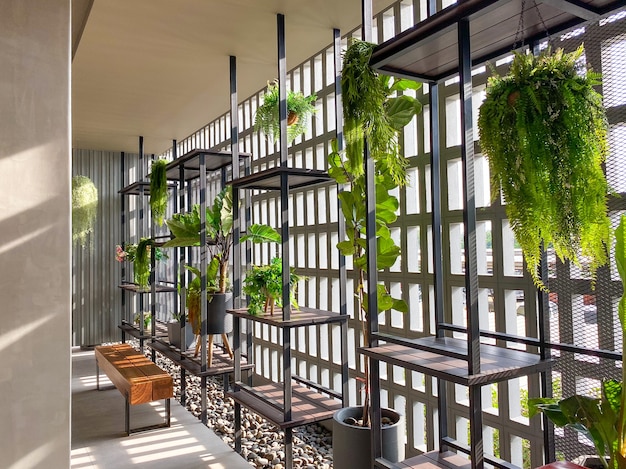 The sunlight shines through the windows on white cement wall with shelves