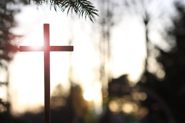 The sunlight shining brightly through the forest trees at sunset and the holy cross symbolize the de