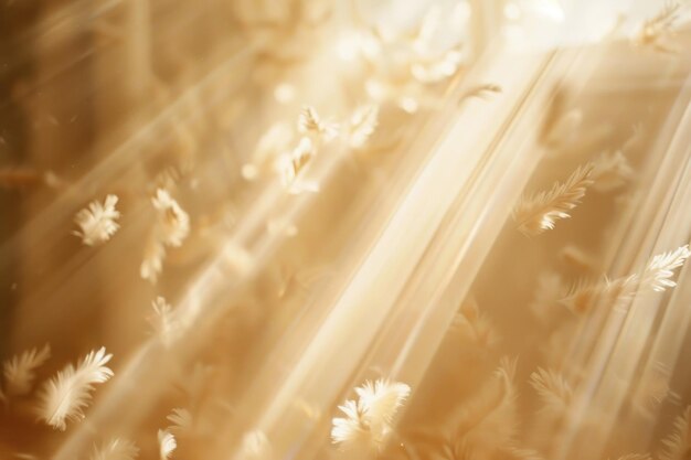 Photo sunlit dried flowers in soft pastel tones with lens flare and delicate light beams