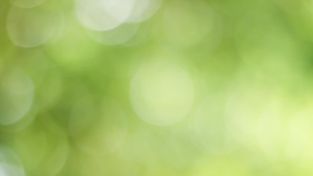 Sunny abstract green nature background Blur park with bokeh light nature garden spring and summer season