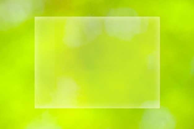 Sunny abstract green nature background selective focus