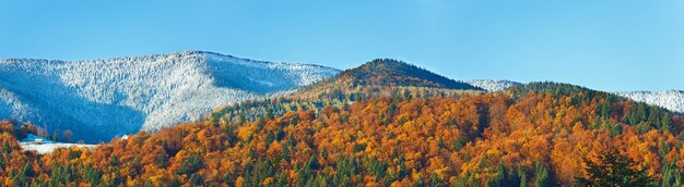 Sunny autumn mountain forest and first autumn frost on trees top (on mountainside). Three shots stitch image.