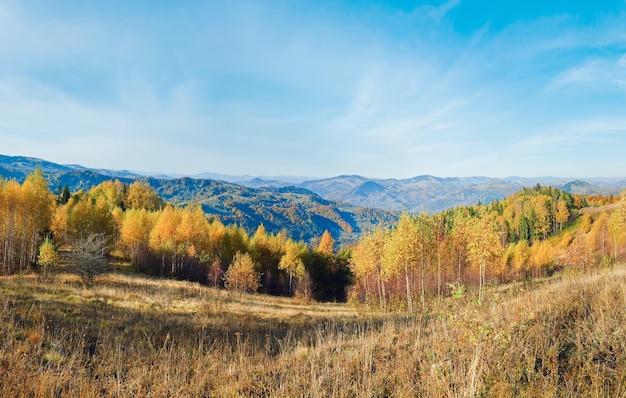 Sunny autumn mountain forest on mountainside