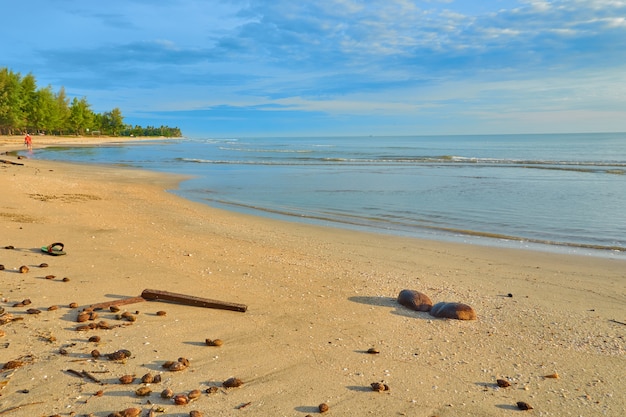 Sunny day on the beach.