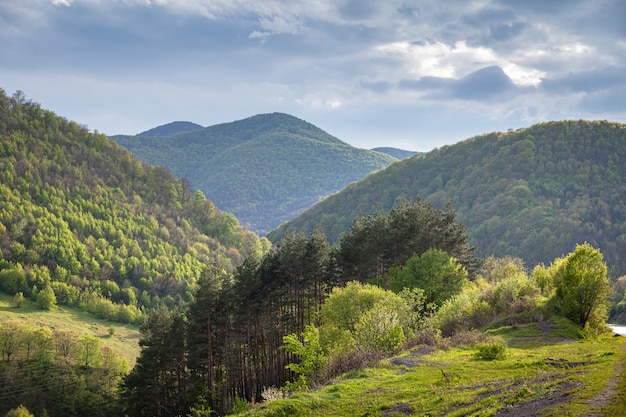 Sunny day in mountain landscape