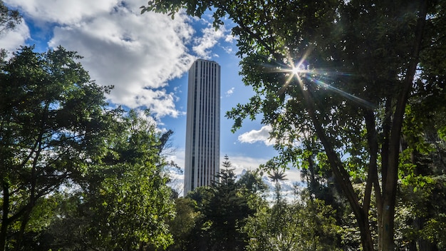 A sunny day in the park with views to the build