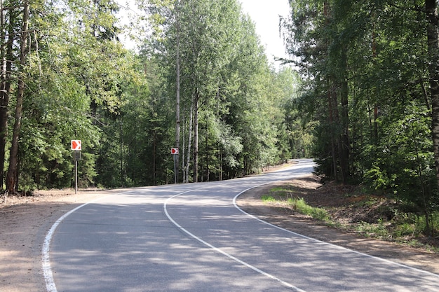 Sunny day winding empty road in the green forest