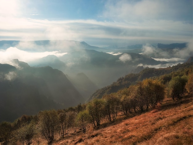 Sunny and foggy morning Cool morning fog over the forest mountain slopes