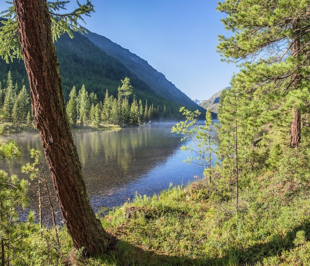 Sunny morning on a calm forest river summer travel