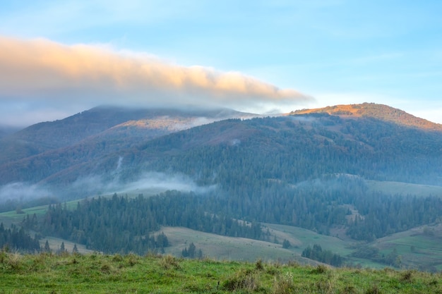 Sunny morning in summer Ukrainian Carpathians Light mist between wooded mountains The first rays of the sun illuminate the mountain peaks