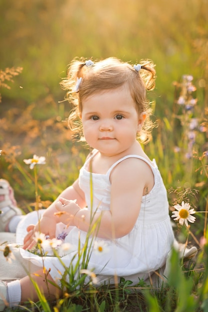 Sunny photo of a girl among dandelions in a field 3010