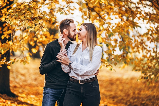 Sunny portrait of a young loving couple walking in the autumn park.