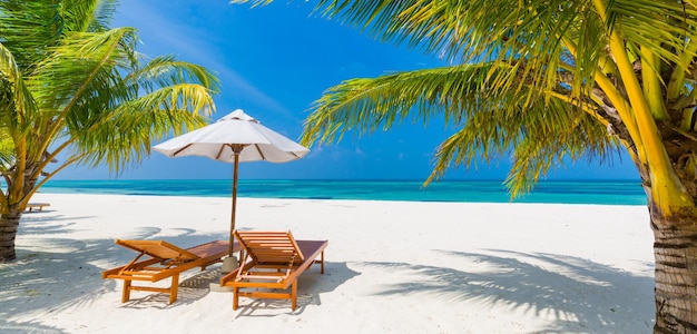 Sunny tropical beach nature summer island with lounge chairs and palm tree leaves Amazing sea view