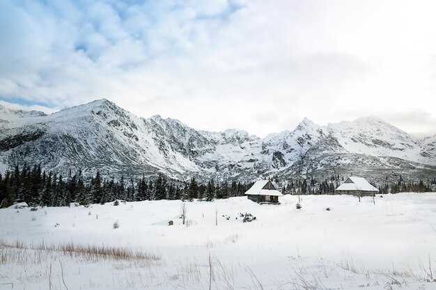 Sunny winter day. Zakopane. Tatra. High quality photo